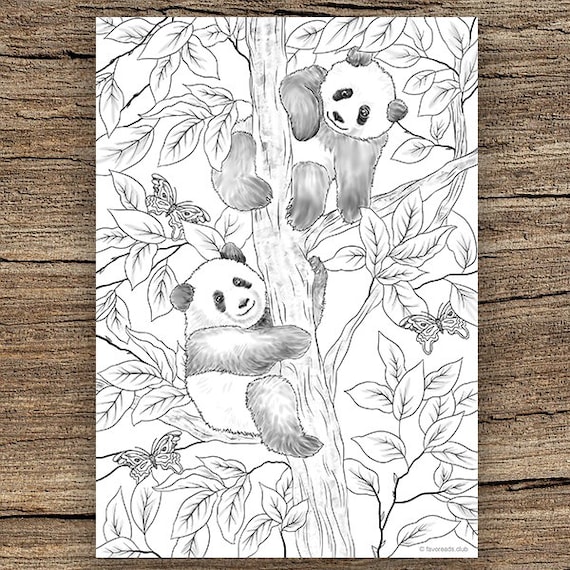 Panda na China - Pandas - Coloring Pages for Adults