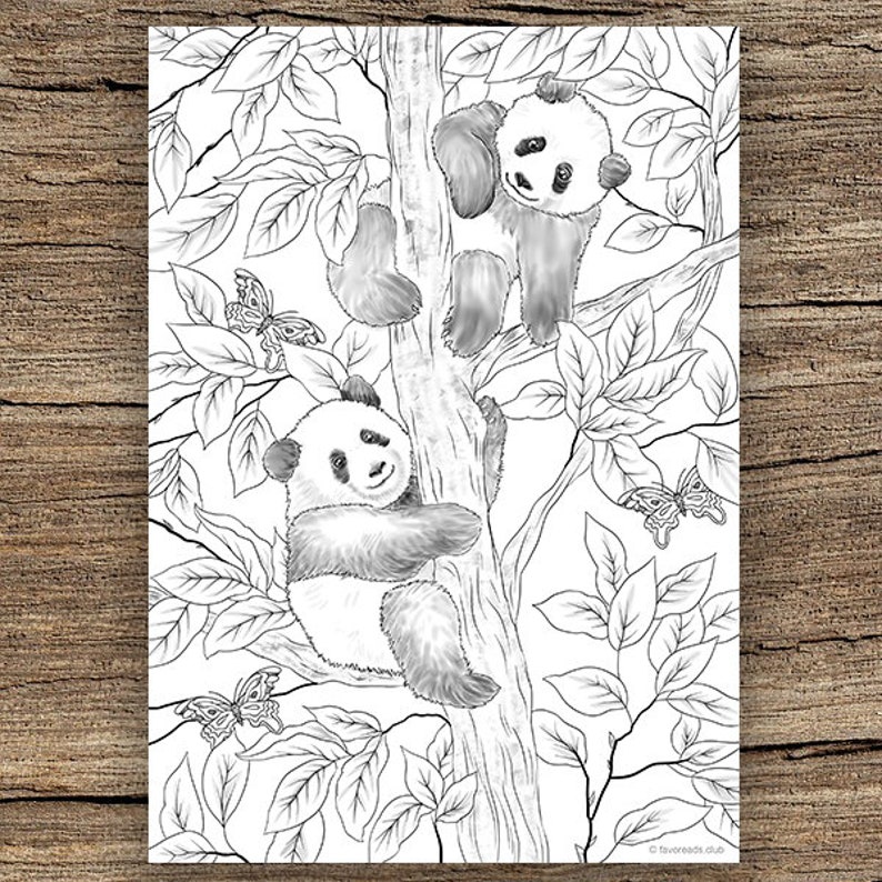 Pandas Printable Adult Coloring - Il 794xN.1954529401 1ii7 