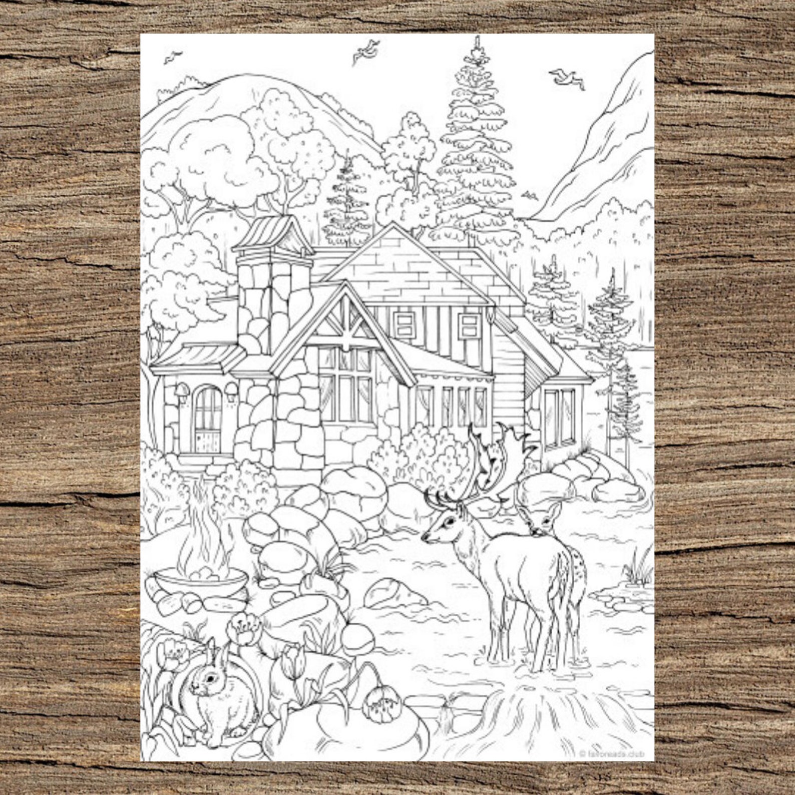 In the Woods Printable Adult Coloring Page From Favoreads | Etsy