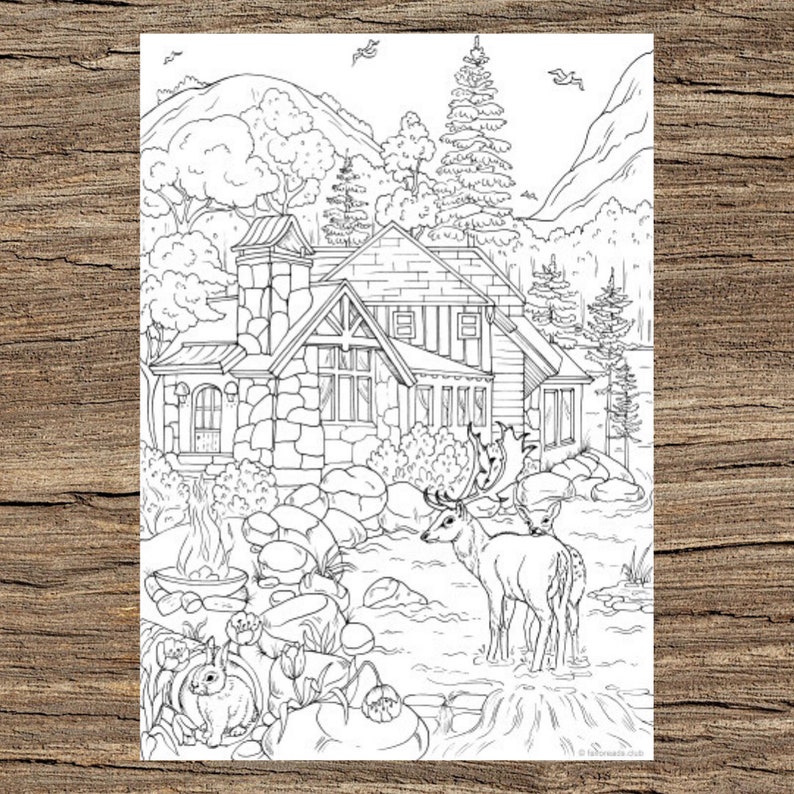 In the Woods Printable Adult Coloring Page from Favoreads | Etsy