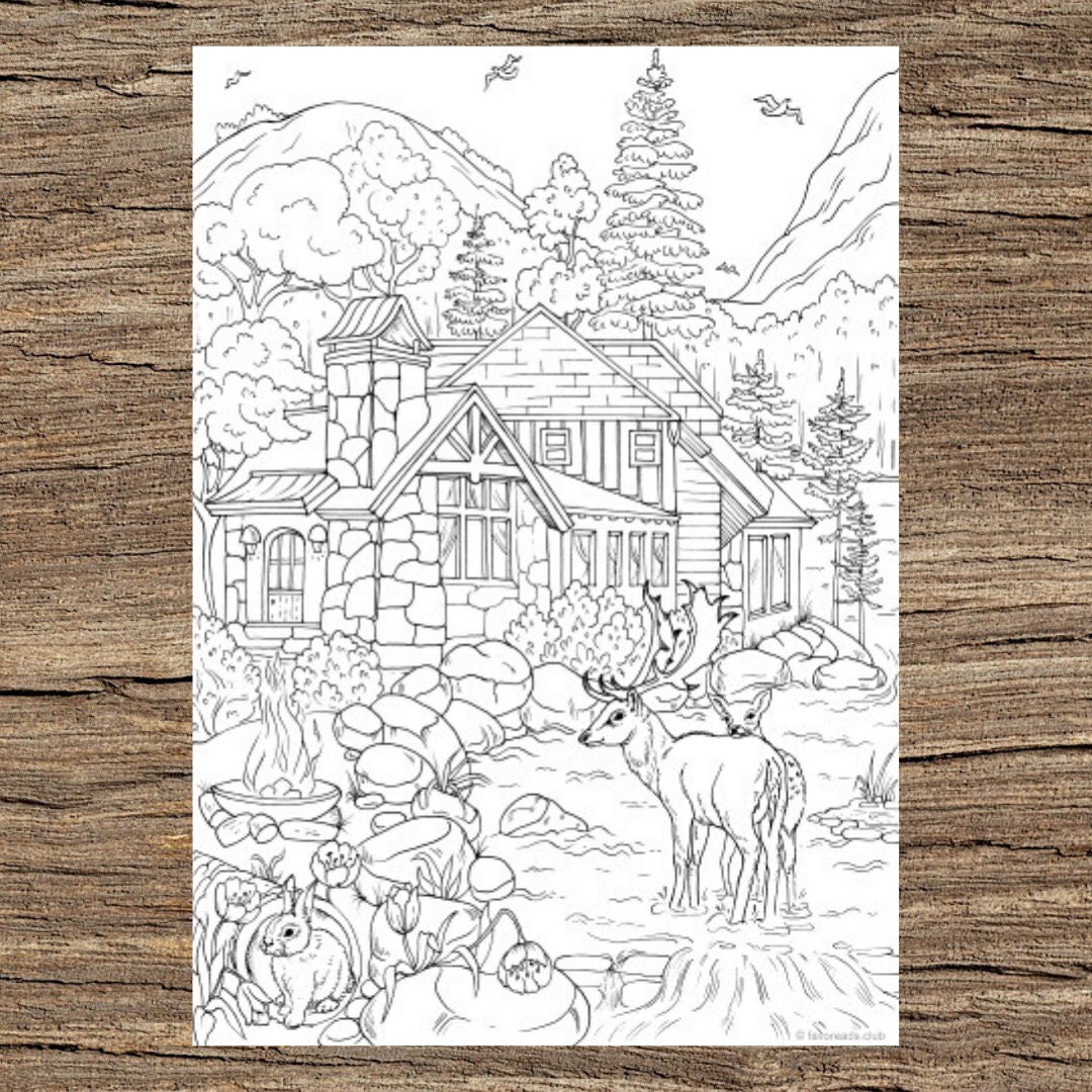 In the Woods Printable Adult Coloring Page from Favoreads | Etsy