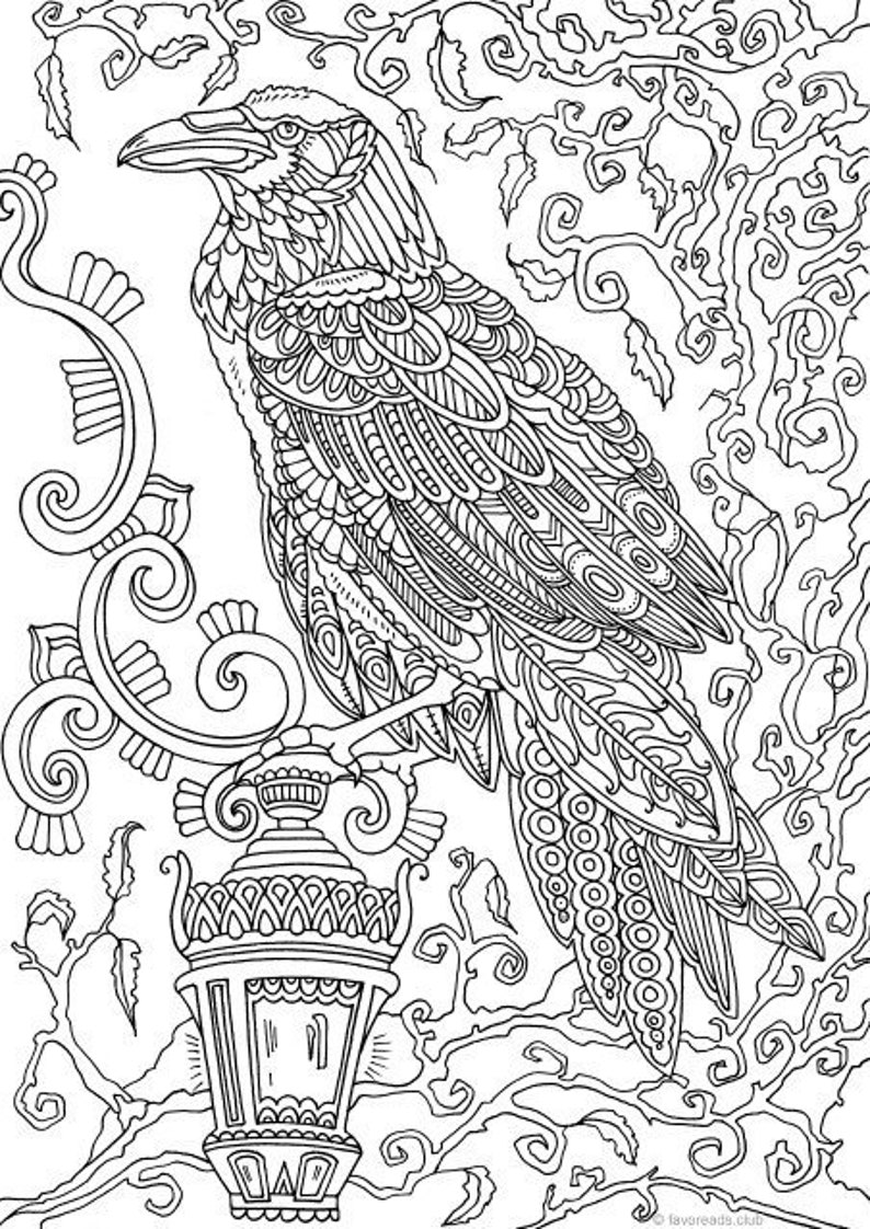 Raven Printable Adult Coloring Page from Favoreads Coloring book pages for adults and kids, Coloring sheet, Coloring design image 1