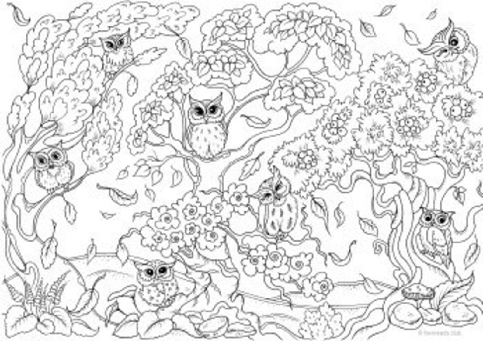 Owl Printable Adult Coloring Page From Favoreads coloring Book Pages ...