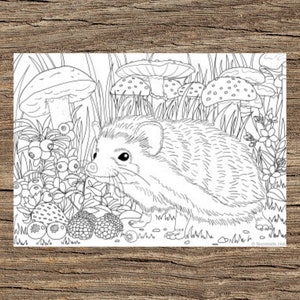 Hedgehog - Printable Adult Coloring Page from Favoreads (Coloring book pages for adults and kids, Coloring sheets, Coloring designs)