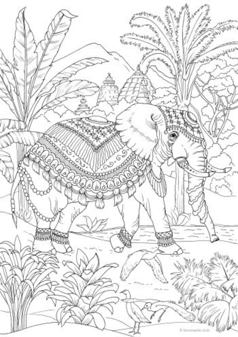 Download Elephant Printable Adult Coloring Page from Favoreads | Etsy
