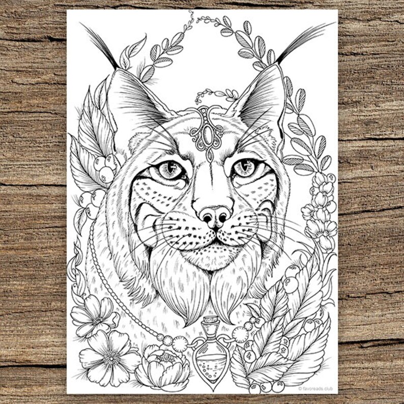 Download Lynx Printable Adult Coloring Page From Favoreads Coloring Etsy