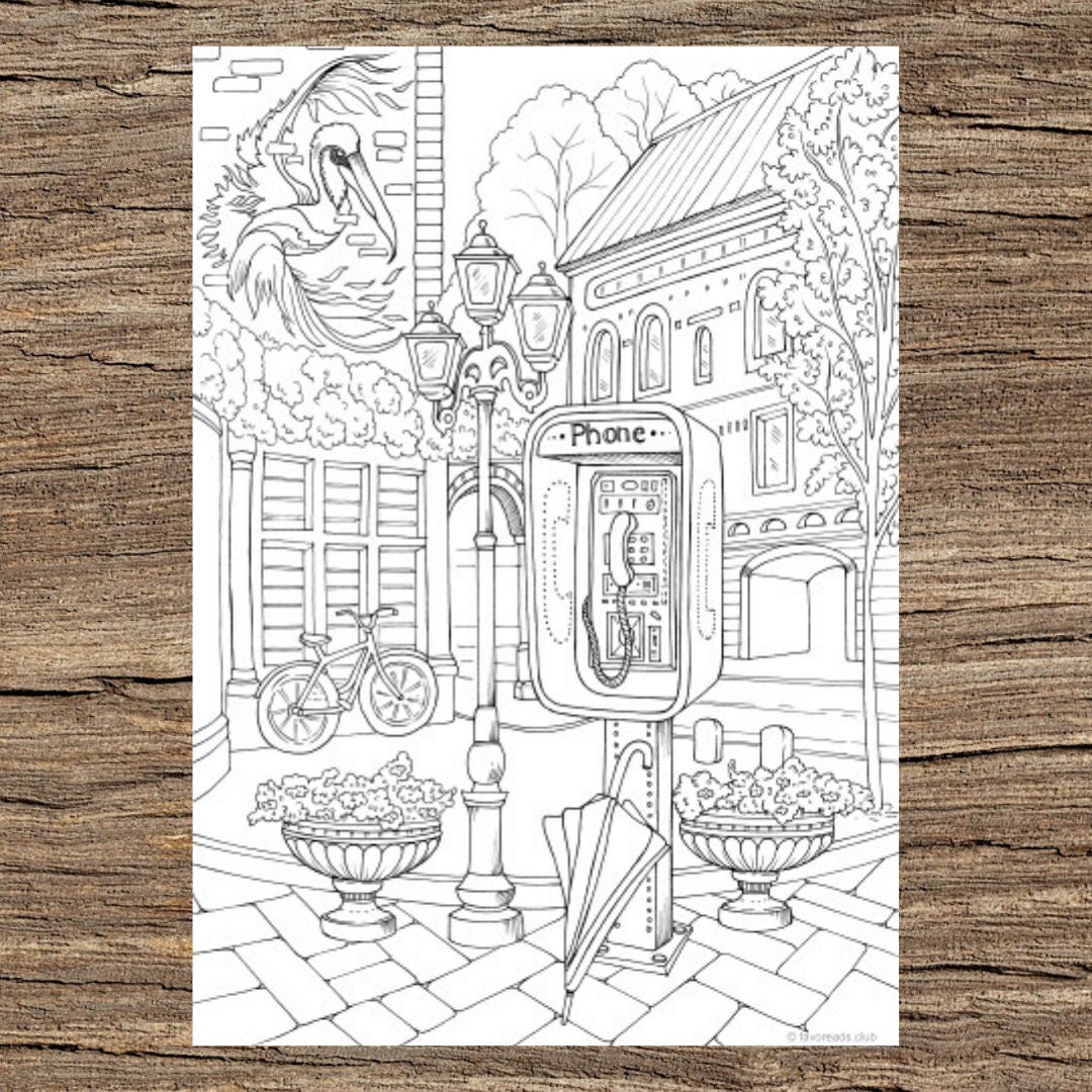 Coloring Books for Adults - Set II – dabblesack