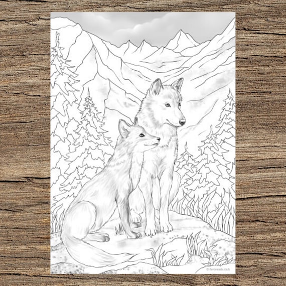 Fond Une Page De Coloriage Adulte Avec Un Loup Orné Sauvage Fond