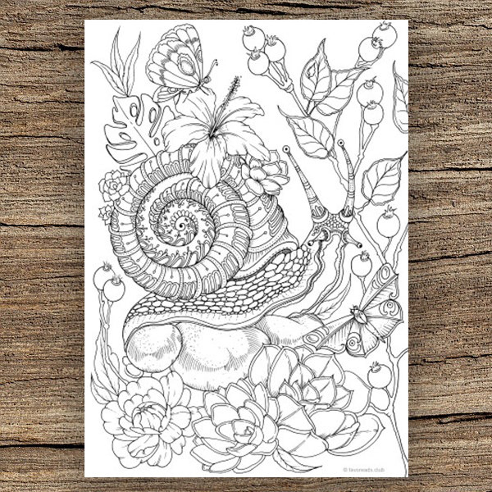 Snail Printable Adult Coloring Page From Favoreads coloring Book Pages