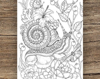 Snail - Printable Adult Coloring Page from Favoreads (Coloring book pages for adults and kids, Coloring sheet, Coloring design)