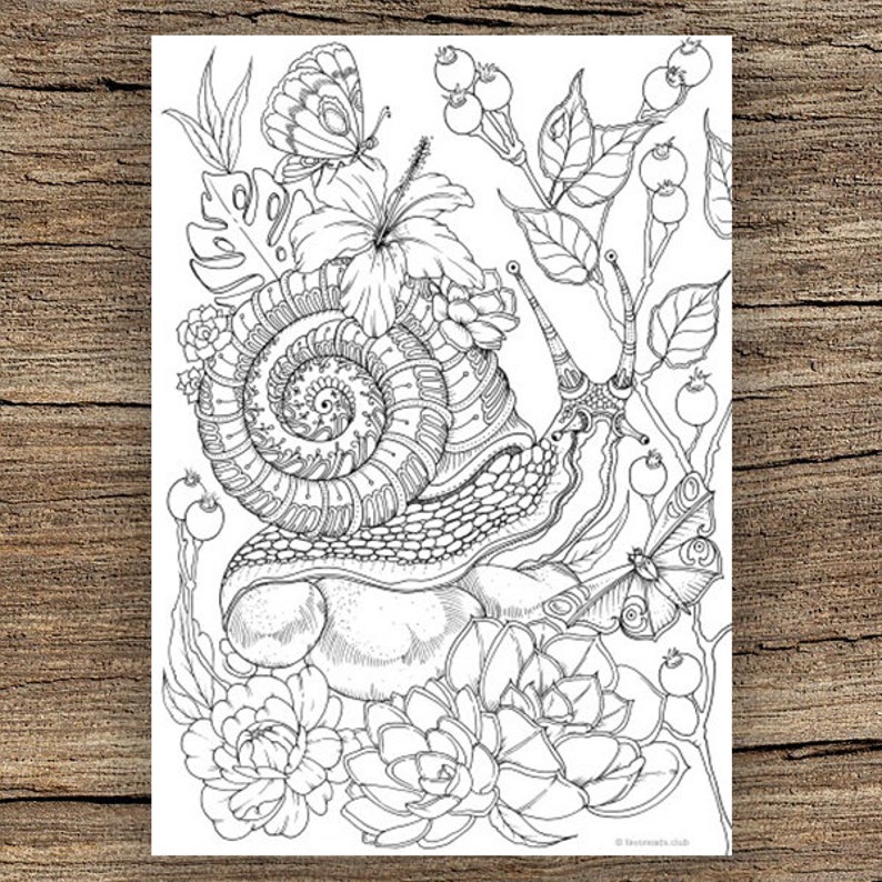 Download Snail Printable Adult Coloring Page from Favoreads ...
