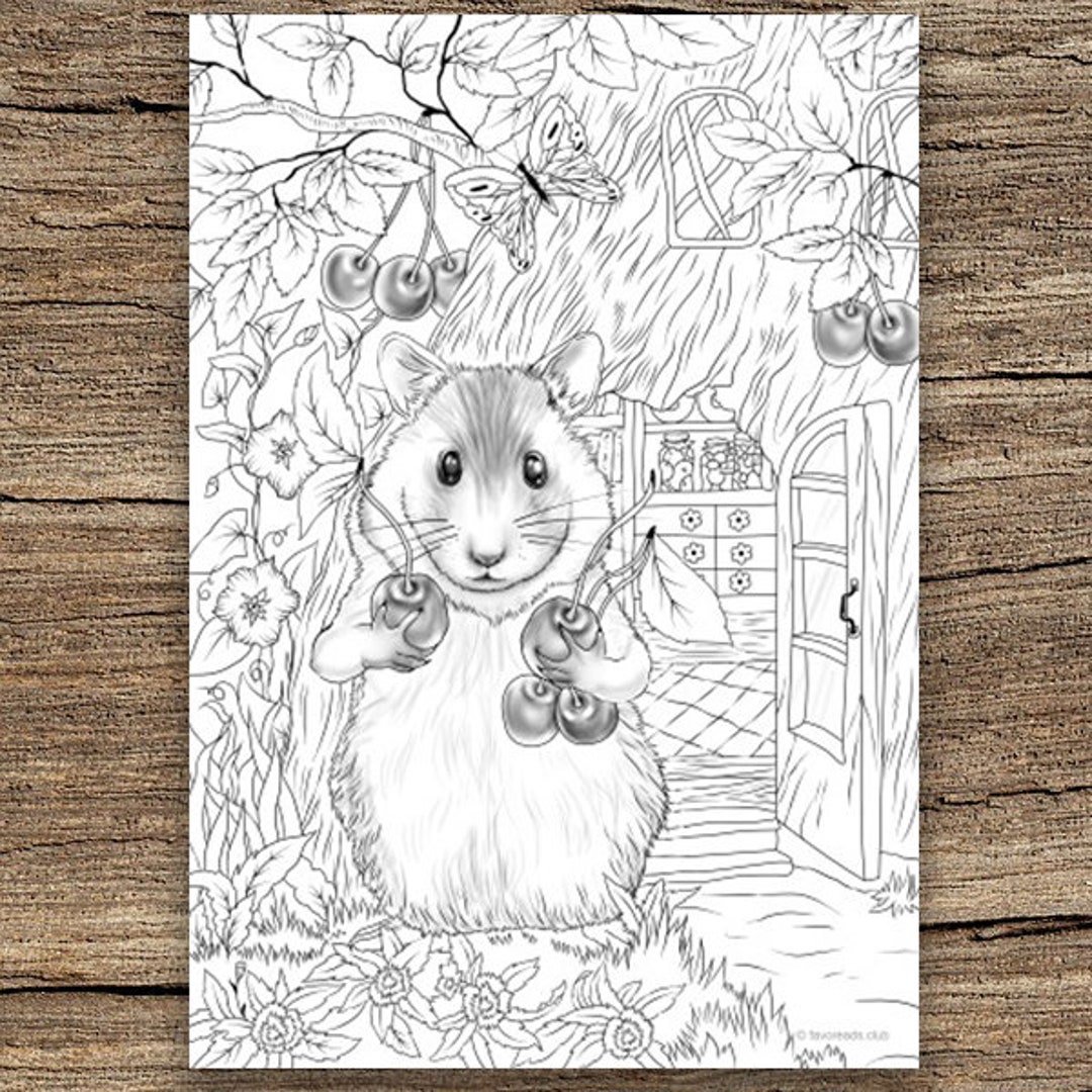 Hamster Printable Adult Coloring Page From Favoreads Coloring Book