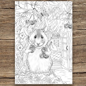 Hamster - Printable Adult Coloring Page from Favoreads Coloring book pages for adults and kids Coloring sheets Coloring designs