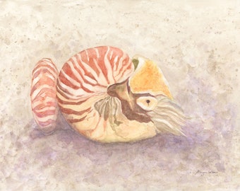 Nautilus Watercolor Fine Art Giclee Print