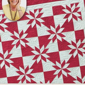 Eleanor Burns Pattern Le Moyne Star Quilt by Quilt in a Day