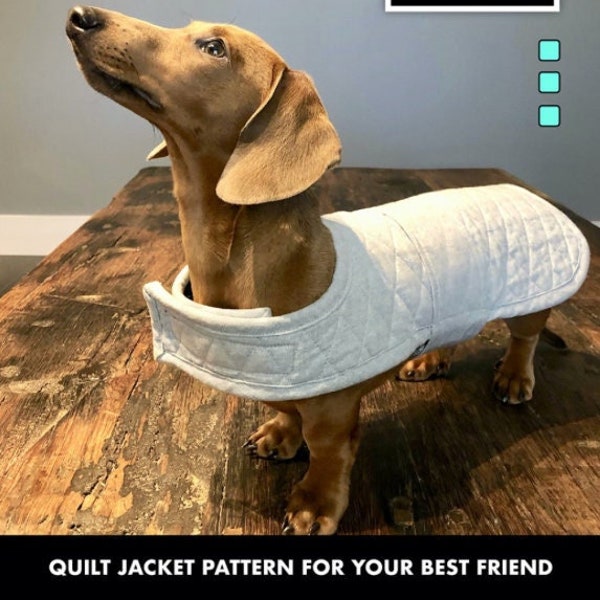 Dandy Doo Jacket Pattern for Small Dogs is a Cute Puppy Inspired Quilted Coat Cover Up, Quilted Jacket Pattern for Dog Lovers