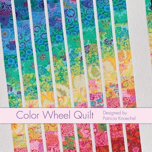 Color Wheel Quilt: Eleanor Burns Signature Pattern by Quilt In A Day and Patricia Knoechel, Colorful Strip Quilt
