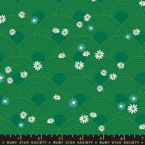 Rise And Shine: Meadow in Evergreen Rise And Shine: Meadow in Evergreen