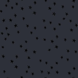 Charcoal - Starry by Alexia Abegg for Ruby Star Society Moda Fabrics, sold by the quarter yard, choose your cut