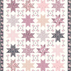 Buds & Butterflies Cordelia Quilt Boxed Kit by Riley Blake