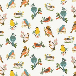 Birds - Cloud - Winged Medley by Katherine Lenius for Riley Blake, cotton fabric sold by the quarter yard, choose your cut