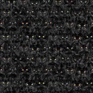 Wicked Black Cats Magic - Black - Mad Scientist for TIMELESS TREASURES, cotton fabric sold by the quarter yard, choose your cut