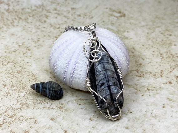 Real fossil necklace deals