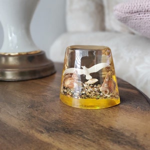 Könnte beinhalten: Ein dekorativer Harffingerhut mit Küstenmotiv. Er ist mit Muscheln, goldenem Glitzer und einer weißen Möwensilhouette gefüllt. Der Sockel ist leuchtend gelb und steht auf einer dunklen Holzoberfläche.