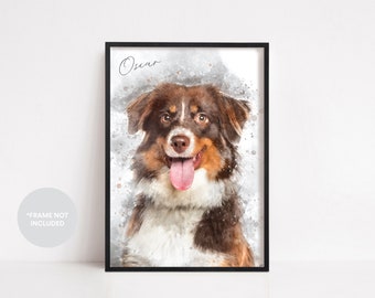 May include: A watercolor painting of a brown and white Australian Shepherd dog with the name "Oscar" written above it.