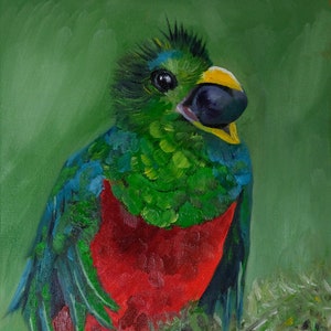 Oil painting gift, A cute bird with a nut - oil painting on canvas pad one of a kind