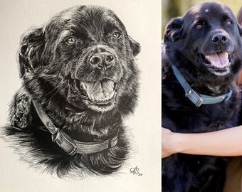 Graphit Tierportrait, persönliches handgemachtes Geschenk für Tierliebhaber, realistische Zeichnung nach Referenzfoto