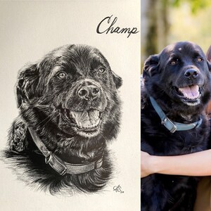 Graphite Pet Portrait, Personal Handmade Gift for Animal Lovers, Realistic Drawing from Reference Photo