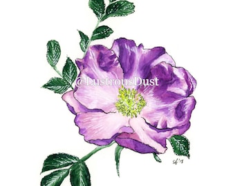 8"x10" Print of Eglantine Rose Original Watercolor Painting