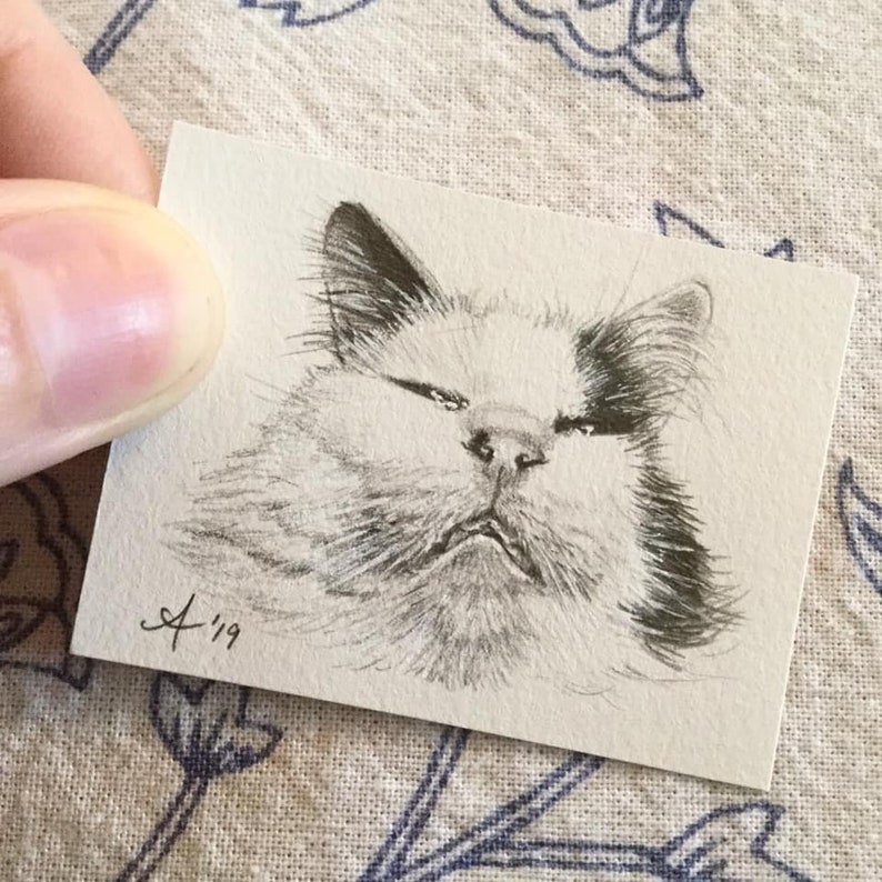 Original Elmo Pet Portrait Drawing