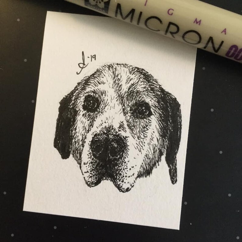 Original Inktober Nelson OFSDS Pet Portrait Drawing