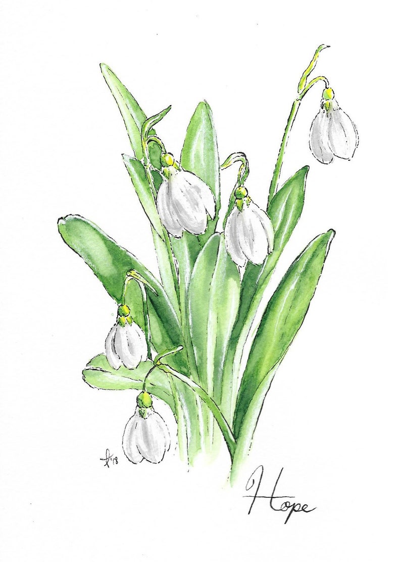 Druck von Schneeglöckchen Blume Aquarell Malerei Mantra Etsy