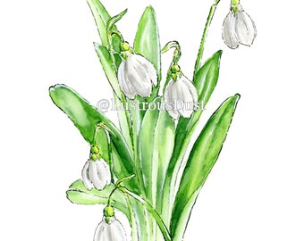 8"x10" Print of Snowdrop Original Watercolor Painting