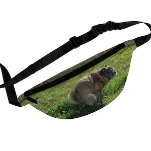 Fred Dump Fanny Pack