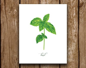 Basil Kitchen Herbs Watercolor Illustration Art Print Instant download, printable, Basil print, green herbs, watercolor Basil, green leaves