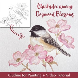 May include: Watercolour painting of a chickadee on a dogwood branch with pink blossoms. The image includes the text "Chickadee among Dogwood Blossoms" and "Outline for Painting + Video Tutorial".