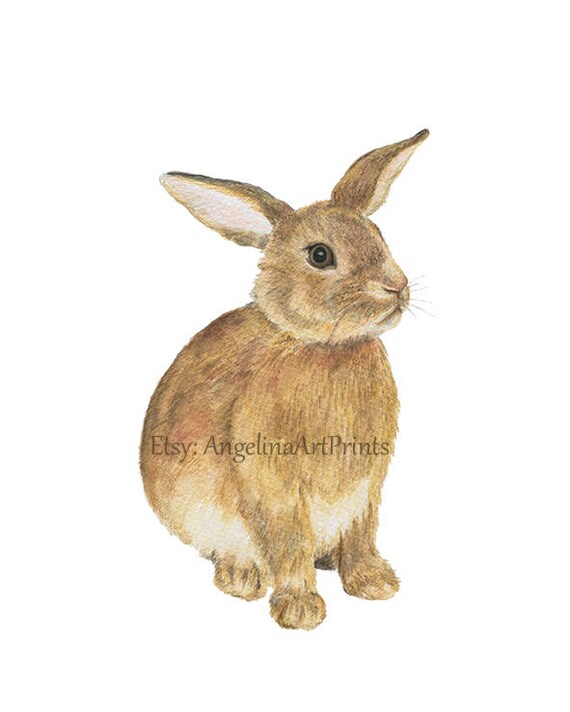 Peinture Lapin Lapin Lapin Peu De Bebe Bebe Animal Etsy
