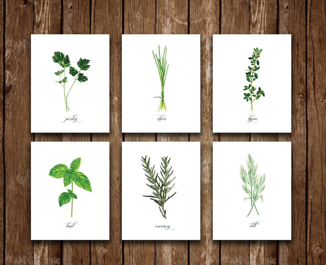 Kitchen Herb Digital Printable Set of 6 Watercolor Art Print,basil ...