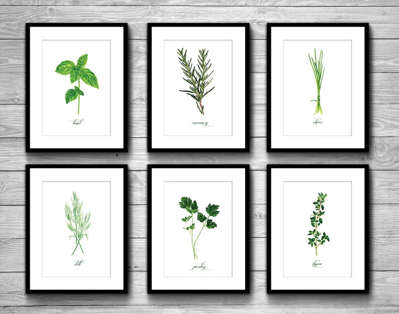 Thyme Kitchen Herbs Giclee Print Watercolor Illustration Art Etsy