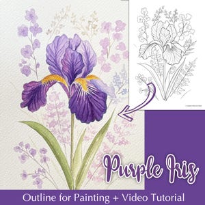 Op de afbeelding: Een aquarel schilderij van een paarse irisfleur met gele accenten en groene bladeren. De afbeelding bevat een zwart-wit omtrek van de bloem en de tekst "Purple Iris" en "Outline for Painting + Video Tutorial".