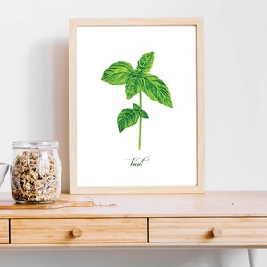 Basil Kitchen Herbs Watercolor Illustration Art Print Instant Download ...
