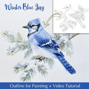Winter Blauhäher Malvorlage | Aquarell Vogel Tutorial | Umriss Zeichnung PDF zum selbst ausdrucken