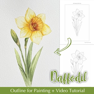 May include: Watercolor painting of a yellow daffodil with green leaves and buds. A black and white outline of the flower is shown next to the painting. Text reads "Daffodil" and "Outline for Painting + Video Tutorial". The outline is 6x9 inches (15x23 cm).