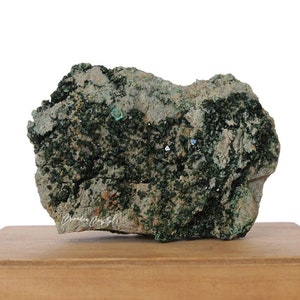 May include: A green and gray rock with small, sparkly crystals on a wooden display stand.