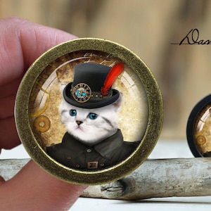 May include: A white cat wearing a black top hat with a red feather and a blue jeweled band. The cat is wearing a black jacket and is set against a background of a clock face.