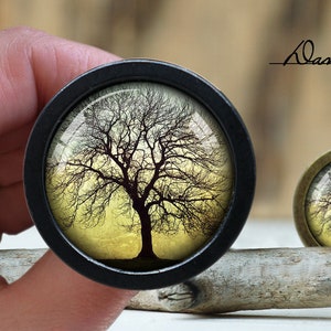 May include: Two round glass cabochons with black metal frames, each featuring a silhouette of a bare tree against a yellow and brown background.